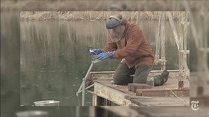 App Smart | Science Lessons