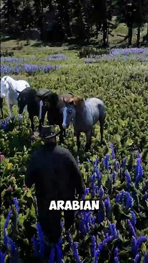 Best Arabian Horses You Can Get in Red Dead Redemption 2