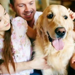 Comment bien réussir l'adoption d'un chien de refuge ?