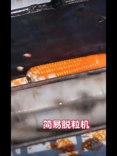 🌾 Simple Threshing Machine in Action #ThreshingMachine #FarmingTools #Agriculture2025 #FarmersLife