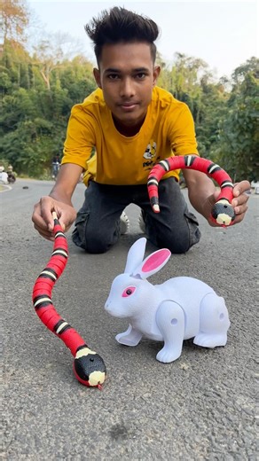 Remote controller Rabbit Animals and 2 Ta snake 🐍