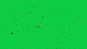 「4 Bees Wasps Swarms 3d Animation」の動画素材（ロイヤリティフリー）3766050949 | Shutterstock