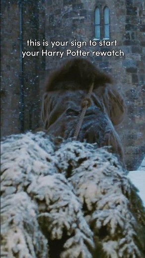 Your sign to rewatch #HarryPotter #Christmas