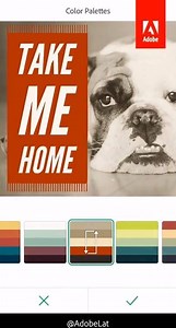 7.2K views · 285 reactions | Si lo tuyo es #SocialMedia descarga Adobe Spark Post y crea imágenes perfectas e interactivas desde tu iOS ¡Tendrán el tamaño perfecto para tu red social preferida! https://adobe.ly/2iKVhSl | Adobe Latinoamerica | Facebook