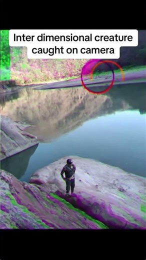 REAL Alien Evidence Finally Revealed 📹