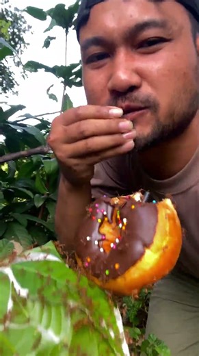 Red Ants' Reaction to Chocolate powder!