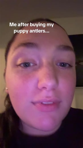 like y'all just be finding them and shipping them why are they so expensive?!