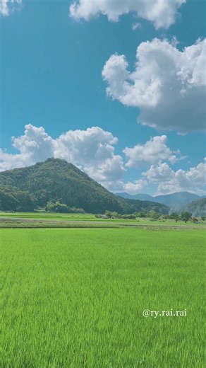 田舎の夏 #田舎の風景 #田舎の夏 #日本 | Scenery