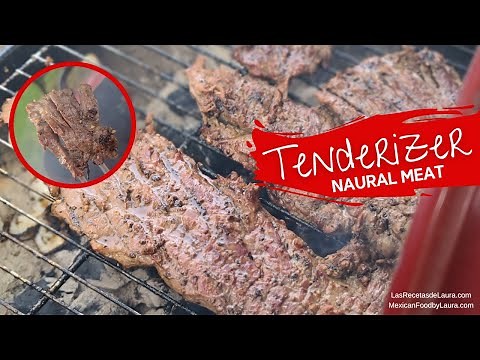 NATURAL MEAT TENDERIZER