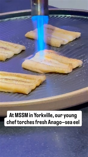 At MSSM in Yorkville, our young chef torches fresh Anago—sea eel—coaxing out a smoky aroma