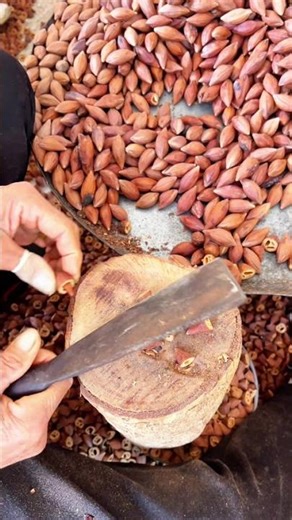 Why Manual Olive Cracking Still Matters Today 👀