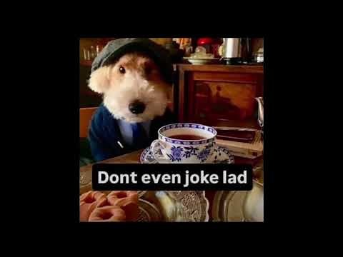 dont even joke lad