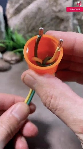 How to Connect Electrical Wire to Socket Safely 🤜 Easy Wiring Guide 🤙 #craft #outdoors #skills