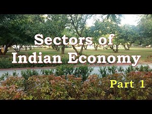 Sectors of Indian Economy | Class 10 | Economics | Part 1