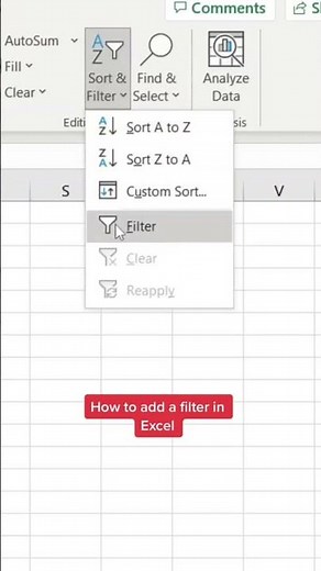 How to add a filter in Excel! #excel