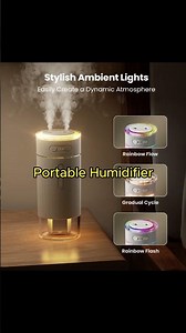 Portable Humidifier