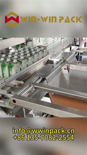 Pick and place case packer #casepacker #shorts #winwinpack