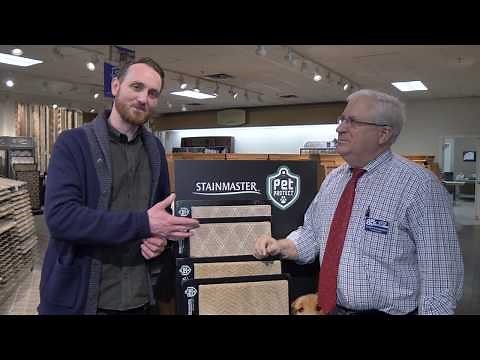 Best Carpet for Pets