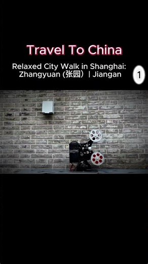 Traveling to Shanghai: Shanghai zhangyuan 上海 张园