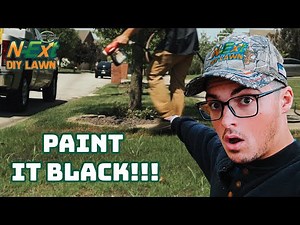 How to Use N-Ext™ RGS & humic12 to FIX NEW Seeded Spots in lawn// N-Ext™ DIY Lawn Care Tips