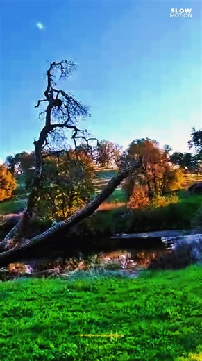 #hunting #nature #outdoor #adventure