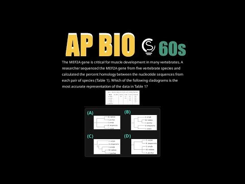 2023 AP Bio Question 53 - Cladogram Construction and Homology