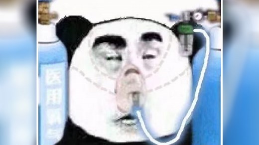 Chinese Panda Wearing Oxygen Mask | Know Your Meme