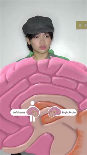 Finding Clarity: Overcoming Directional Confusion