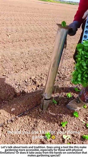 Fast Track to Harvest: Using a Seedling Transplanter 🚜🌿