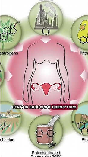 What Causes a Thin Endometrial Lining? Full Breakdown #FertilitySupport