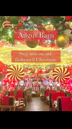 CHRISTMAS WONDERLAND 🎄 Angus Barn is decked out for the holidays. Have you ever eaten fine dining, surrounded by 30,000 glowing lights, inside a 60-year-old barn? Raleigh sure is amazing! ⭐️ #food #travel #localbusiness #localcommunity #angusbarn #christmaslights #Christmas #raleighnc #raleigh #RaleighRealEstate | Heather Leah