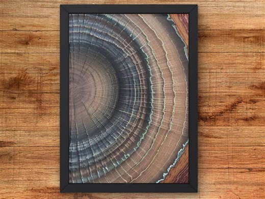 Tree Ring Cross-section Art Print, Natural Wood Grain Decor, Earthy Minimalist Wall Art - Etsy UK