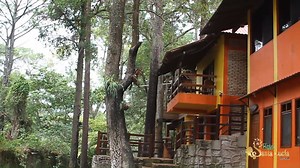 El Hotel Santa Lucia Resort te espera pronto! 🌳🌲🐿😍💚 www.santalucia.hn | Santa Lucia Hn