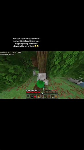 It was really th horse’s fault fr #minecraft #funny #scream | minecraft