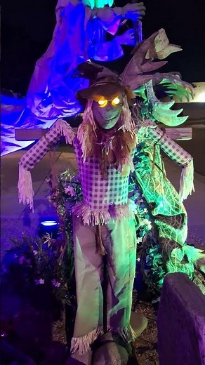 SCARE CROW HALLOWEEN