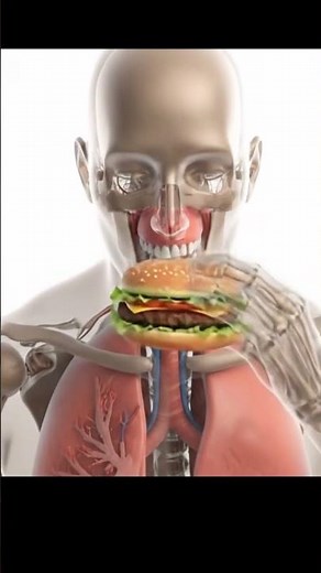 Inside the Human Body - Science in Motion#humanbody #3danimation #digestivesystem