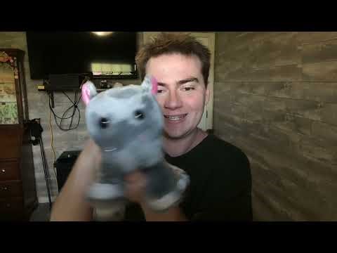 Webkinz NEXT Unboxing! (And an Exciting Update)