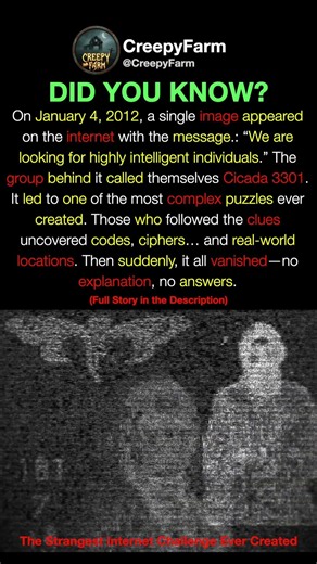 The Dark Mystery Behind Cicada 3301