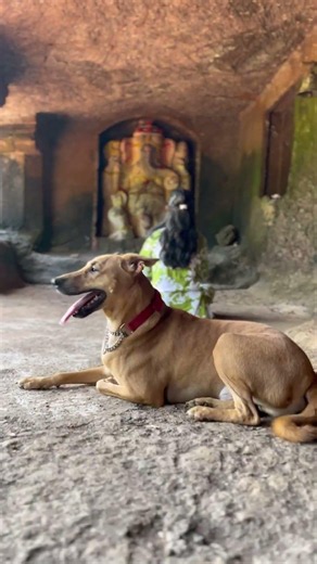 Postcards By Neeta | Exploring the Secret Caves of Panhale-Kaji (Ancient Pranalaka) #dapoli #travel