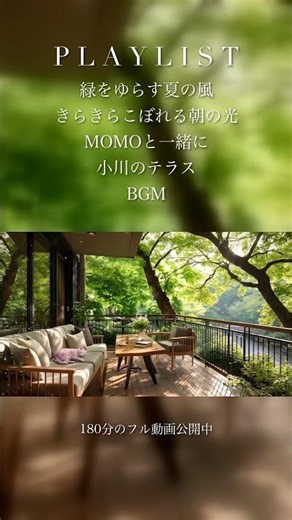 【BGM】夏の風がここちよい朝、MOMOと癒しのピアノ🌿Fresh Early Summer Morning Piano | MOMO THE GARDEN CAT#Shorts
