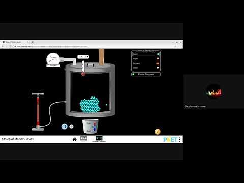 States of Matter Simulation