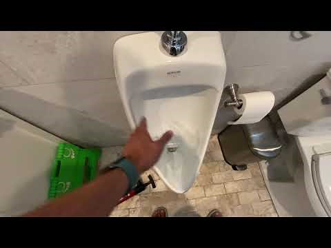 Kohler Dexter Siphon Jet Properly Flushing