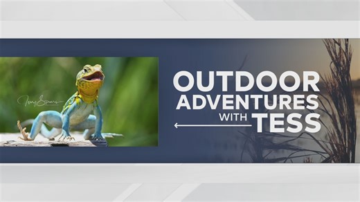 Outdoor Pics With Tess: Happiest Mountain Boomer