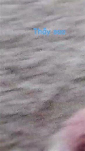 thấy sao #funny #memes