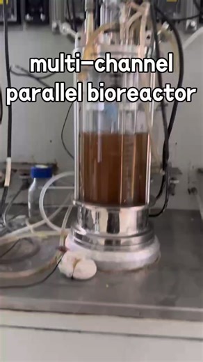 multi-channel parallel glass bioreactor#parallel bioreactor#multi-channel biore…