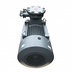 [Hot Item] High Efficiency Explosion Proof Three Phase AC Electric Induction Motor Electric Motor