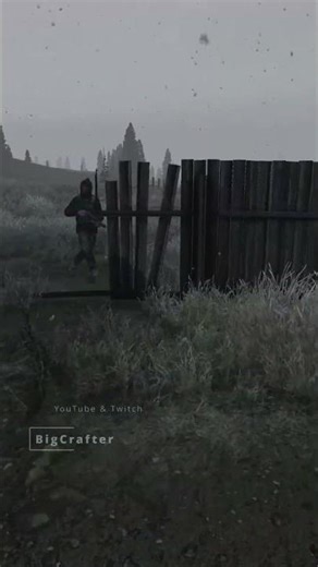 The best way to play DayZ