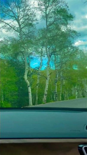 The Alpine Loop Scenic Byway, American Fork Canyon and Provo Canyon #utah #americanfork