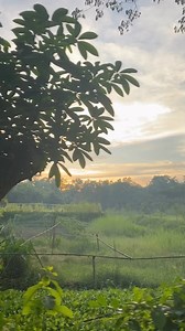 Nature ✨ | Mim Chowdhury