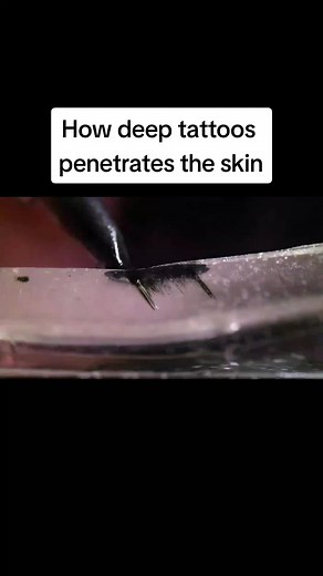 Exploring How Deep Tattoo Needles Penetrate Skin in Slow-Motion